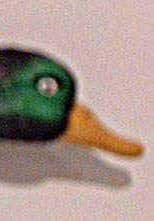 Unsharp Mask
Amount = 100%
Radius = 5
Threshold = 0